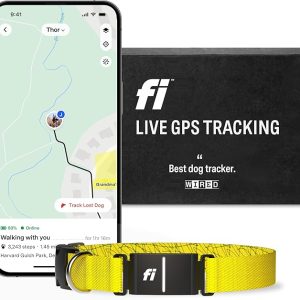 Fi Series 3 Smart Dog Collar - GPS Dog Tracker and Activity & Health Monitor, Waterproof, LED Light, Escape Alerts, Nationwide Coverage [Free 1 Year Membership] (Yellow, Medium)