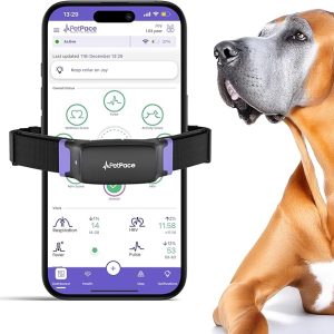 AI Health Monitor & GPS Tracker for Dogs | Track Heart Rate, Pain, Anxiety & Stress | Vet Backed, Near Real-Time Alerts & Monitoring | Subscription Required | PetPace Smart Collar 2.0 (Large)