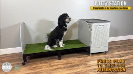 Next Generation 2' X 4' Potty Station & Pet Attendant